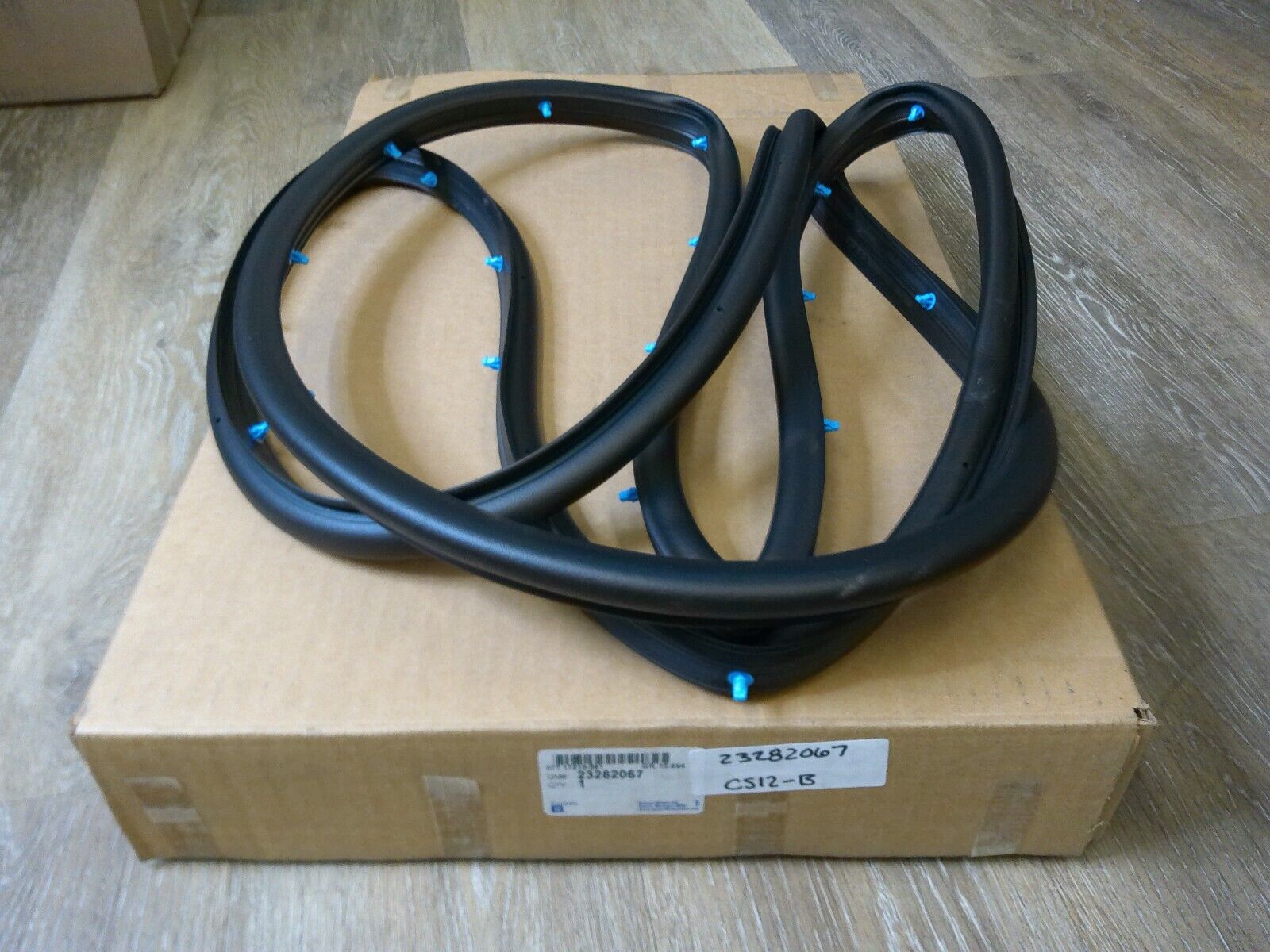 Genuine GM OEM Door Seal *NEW* 23282067 | CS12-B