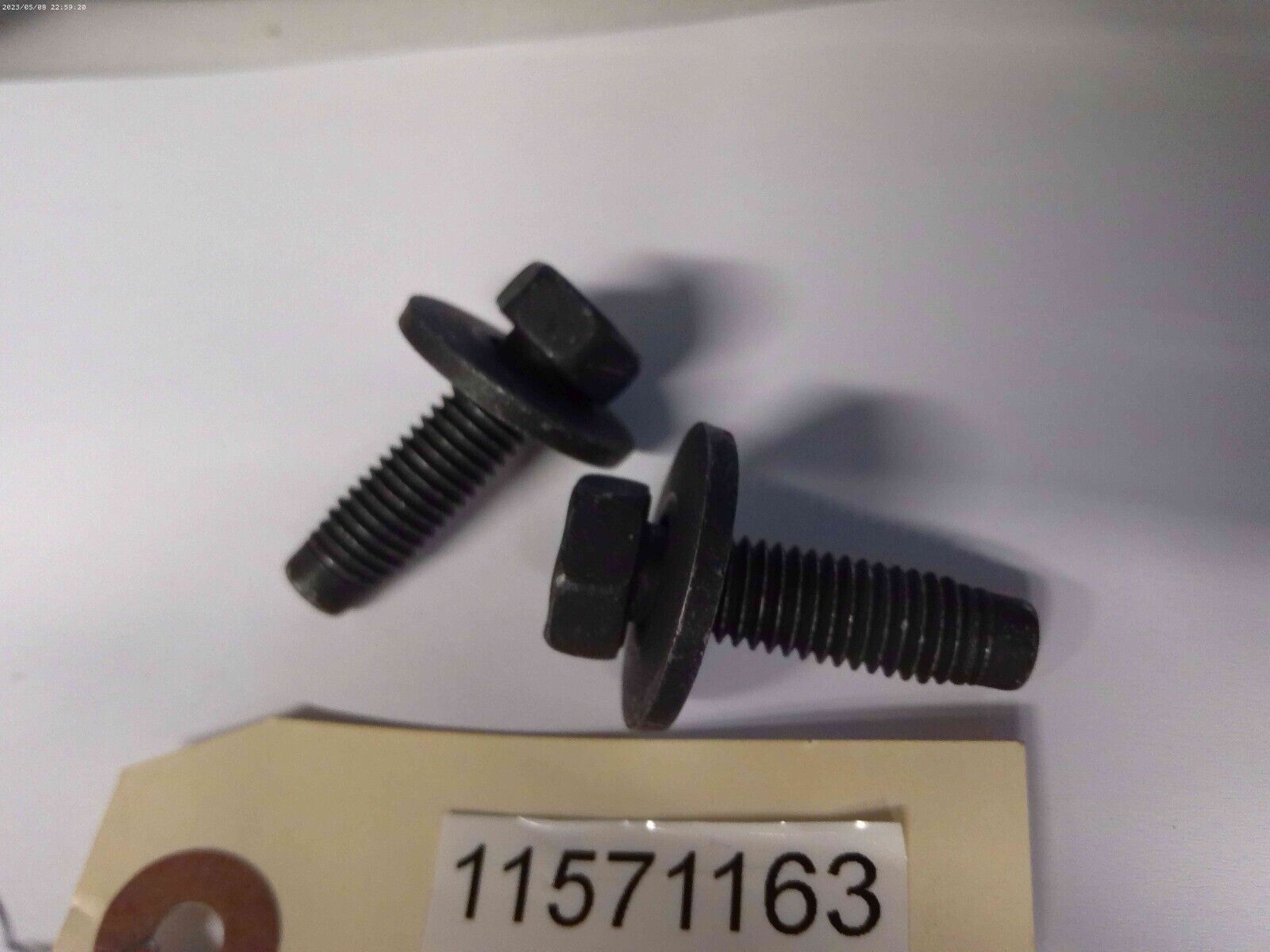 OEM NEW Genuine GM Bumper Face Bar Mount Bolts 11571163 Lot of 2pcs | OS7-13